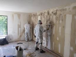 Best Basement Mold Removal in Horn Lake, MS